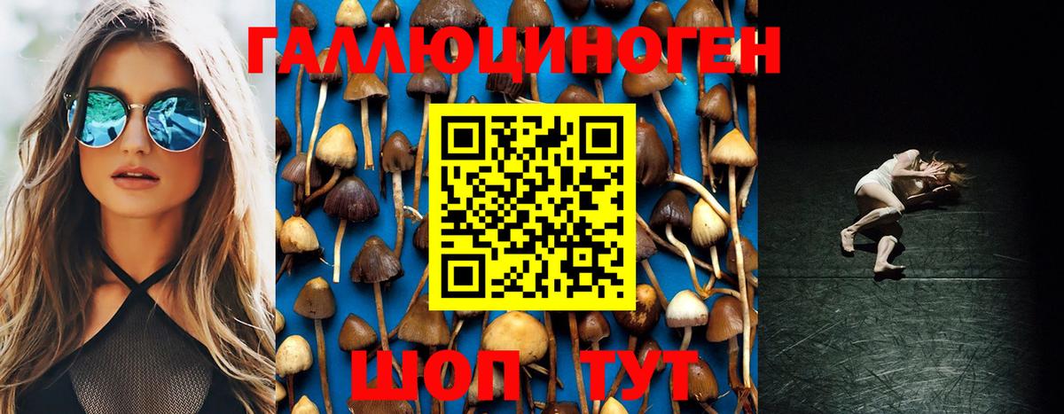 Сорочинск  Галлюциногенные грибы Cubensis  Вход с VPN 