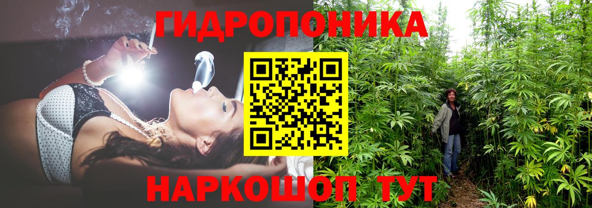 Шишки марихуана индика  Вход с VPN  Бошки Шишки AK-47  Конопля сатива  Сорочинск 